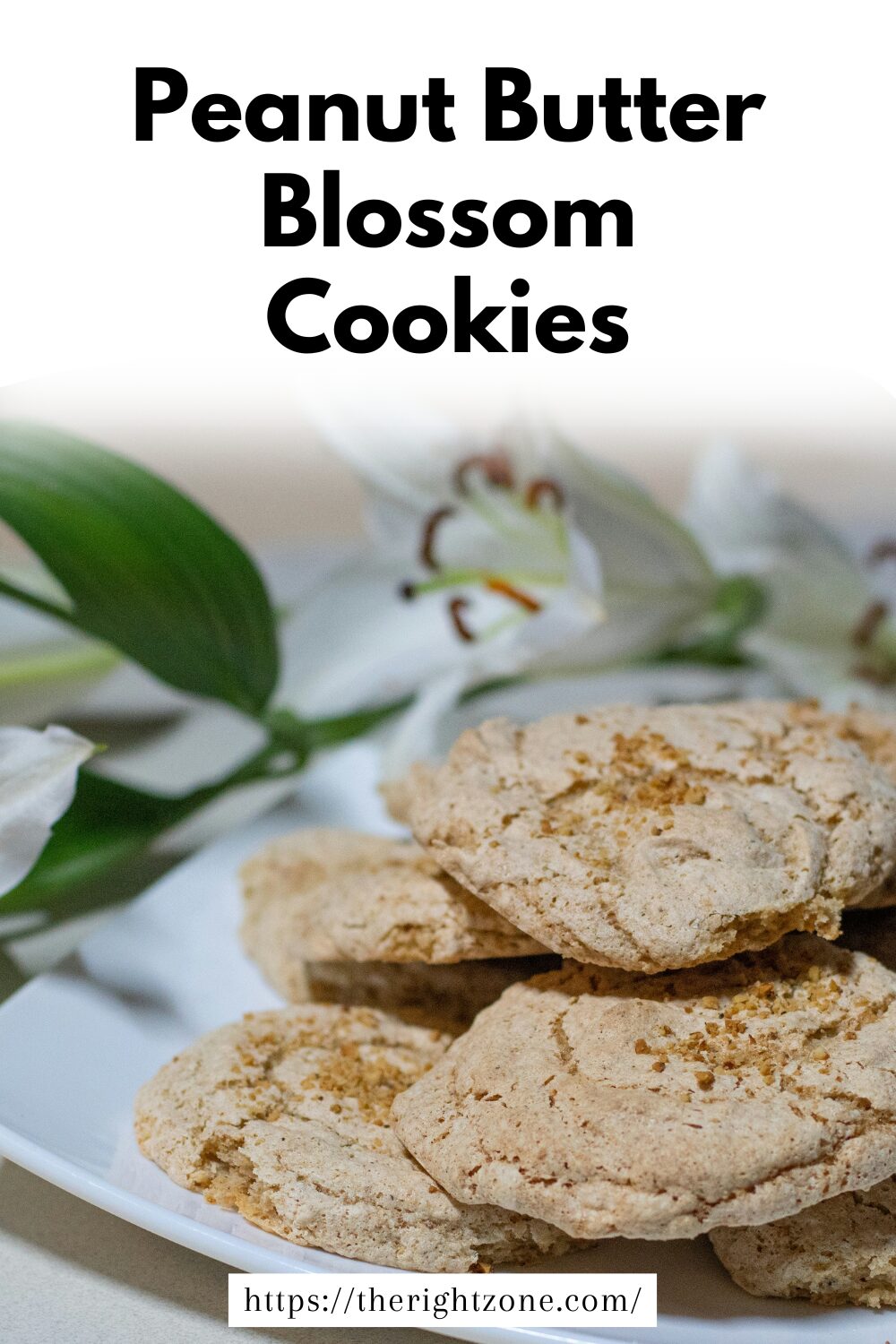 Peanut Butter Blossom Cookies